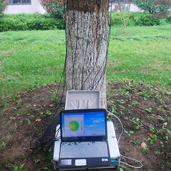 树木无损检测探伤仪 树木无损检测探伤仪