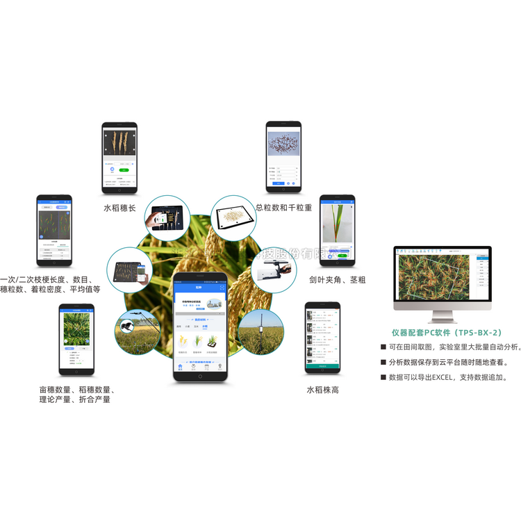 水稻表型检测系统TPS-BX-2