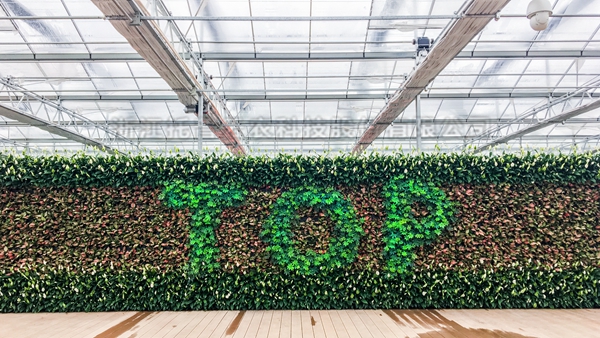 91视频网址入口全自动托管智能温室大棚 91视频网址入口全自动托管智能温室大棚