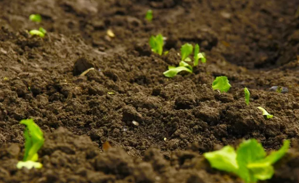 91视频下载免费有机质 91视频下载免费有机质