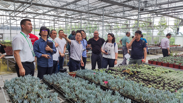 多个国家农业领导与专家在观摩研讨 多个国家农业领导与专家在观摩研讨