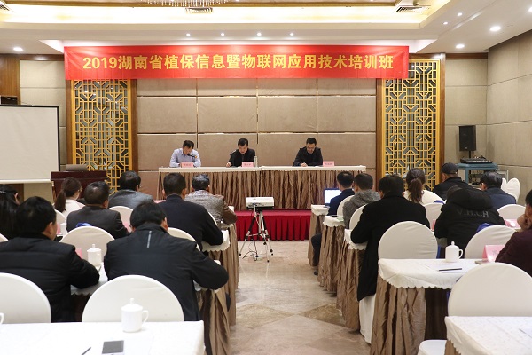 91视频网址入口服务湖南省植保信息技术培训班在杭开班 91视频网址入口服务湖南省植保信息技术培训班在杭开班