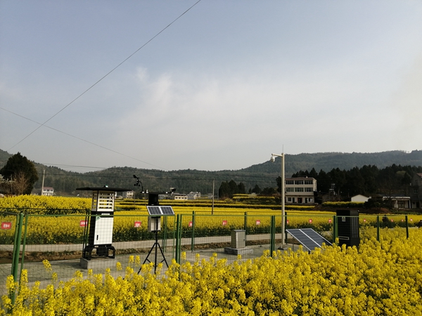 91视频网址入口植保产品 91视频网址入口植保产品