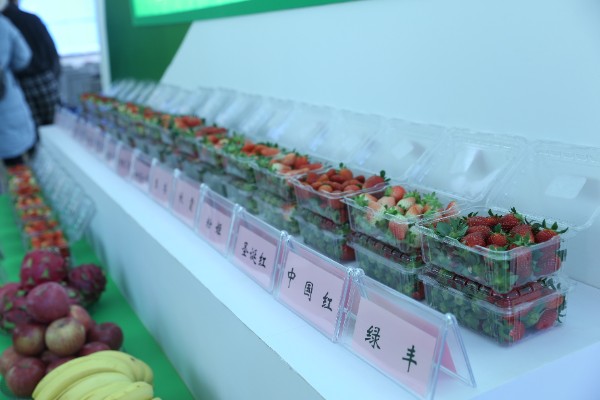 推介会现场 推介会现场