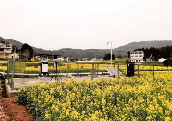 91视频网址入口病虫害监测点 91视频网址入口病虫害监测点