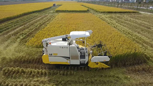 1628660905668575.jpg 图片2.jpg