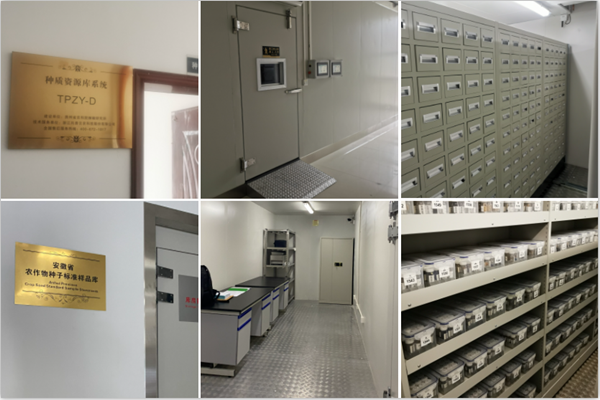 1650244415501858.png 91视频网址入口种质资源库案例.png