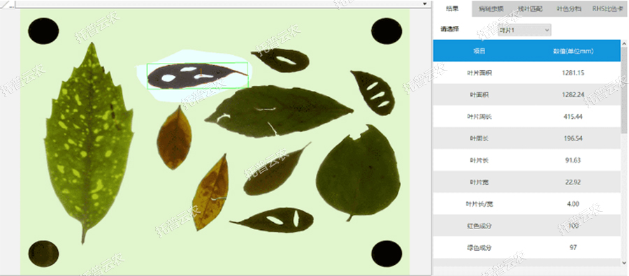 叶面积等结果界面 叶面积等结果界面