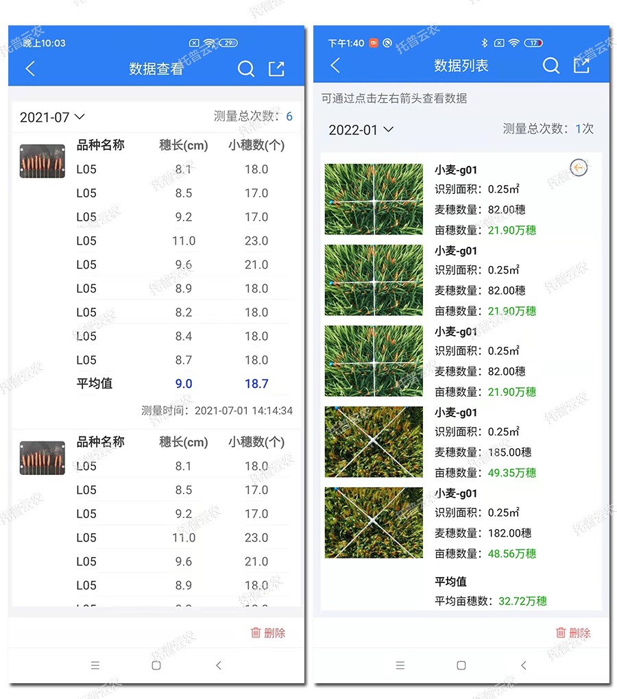 小麦表型检测仪数据结果2 小麦表型检测仪数据结果2