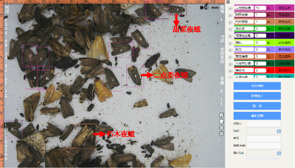 1654666050560053.png 图片3.png