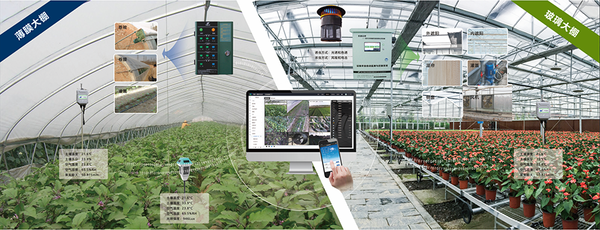 91视频网址入口设施农业创新应用基地 91视频网址入口设施农业创新应用基地