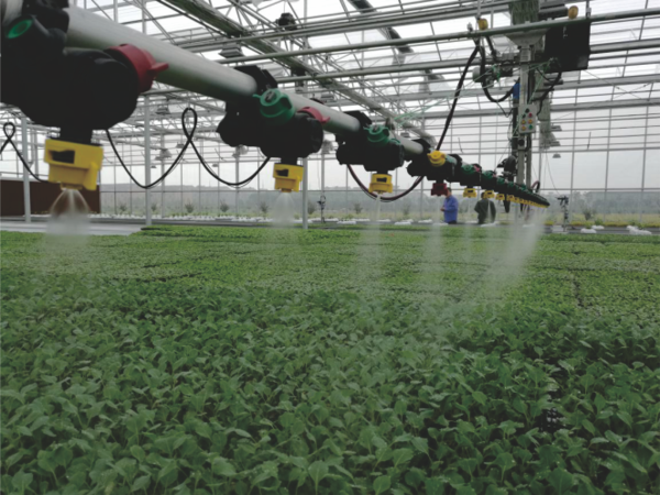 91视频网址入口打造的萧山农科所现代农业示范基地 91视频网址入口打造的萧山农科所现代农业示范基地