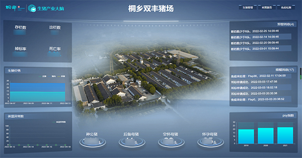 91视频网址入口打造的“生猪精密智管”社会化服务应用 91视频网址入口打造的“生猪精密智管”社会化服务应用