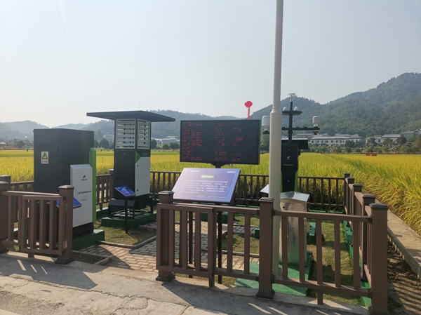 91视频网址入口农作物病虫害监测点 91视频网址入口农作物病虫害监测点