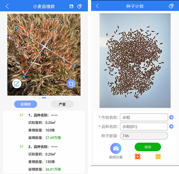 1669185082407520.jpg 3.jpg