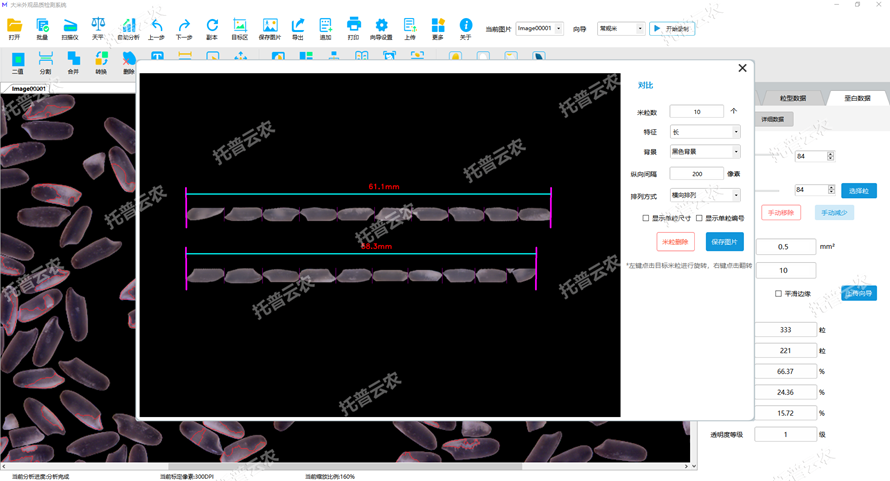 1675645751774706.png 大米外观对比.png
