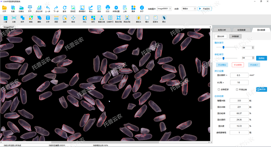 1675645763510567.png 垩白数据.png