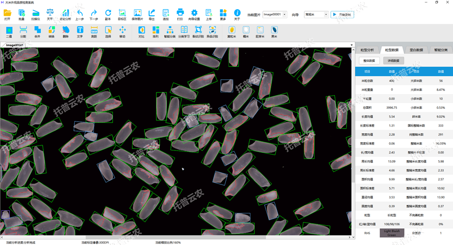 1675645797437755.png 粒型整体数据.png