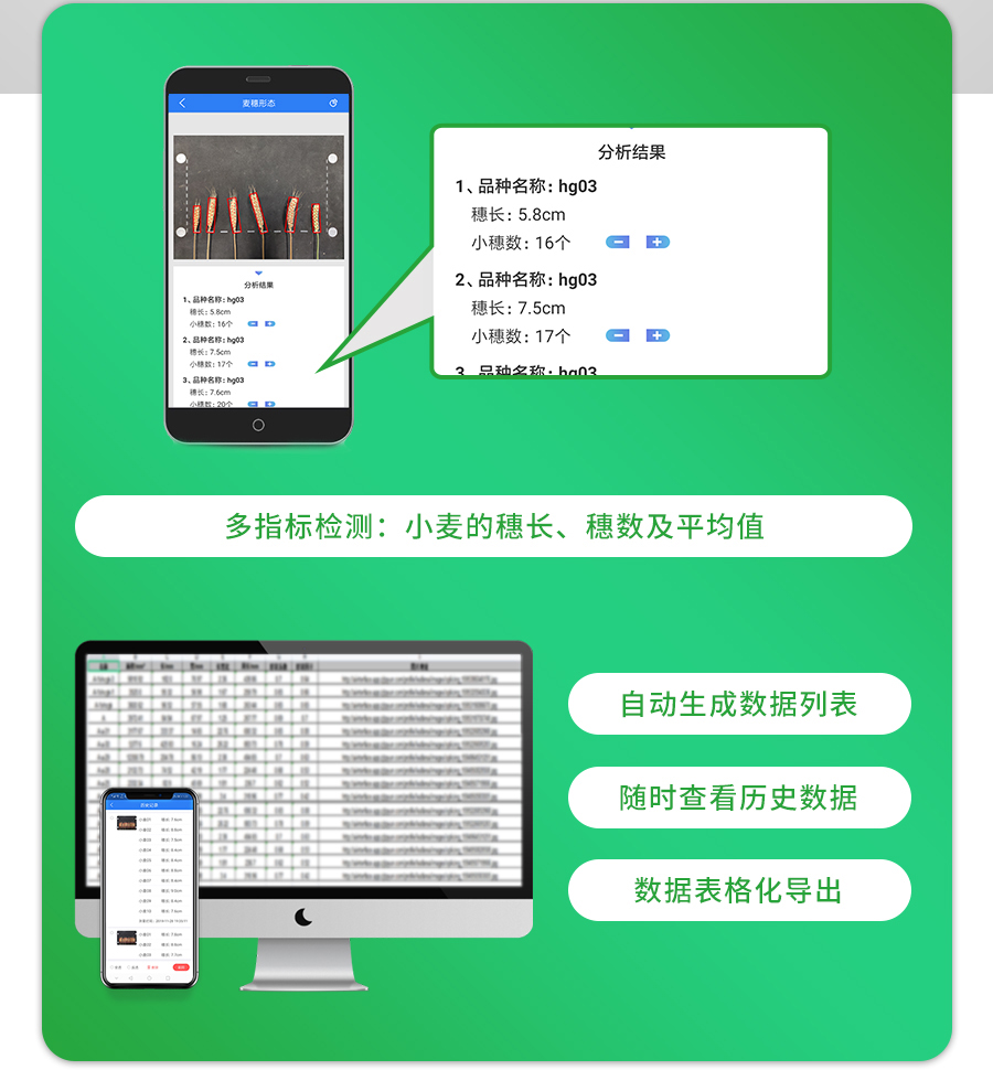 麦穗形态测量仪 麦穗形态测量仪
