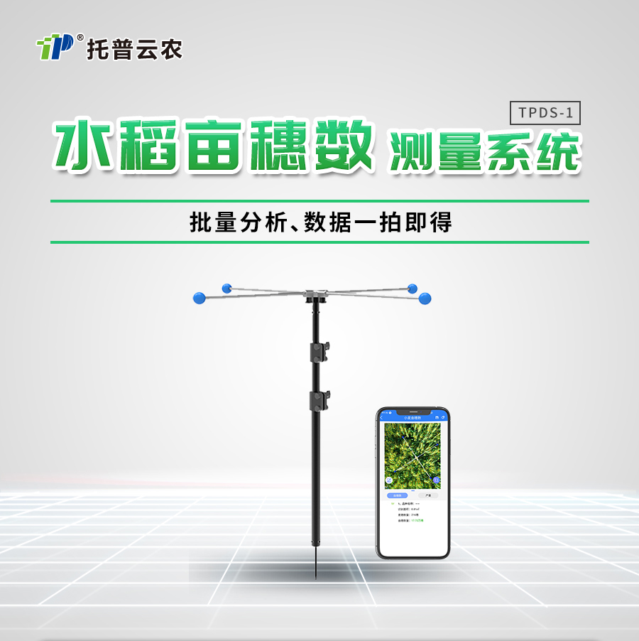 水稻亩穗数测量系统 水稻亩穗数测量系统