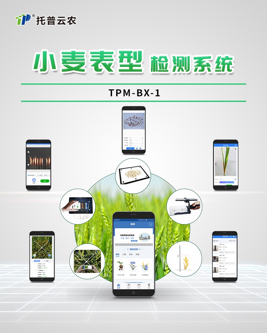 小麦表型检测仪 小麦表型检测仪
