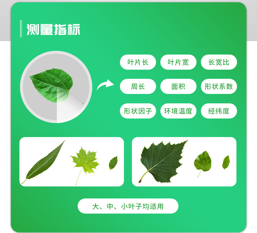 活体叶面积测量仪 活体叶面积测量仪