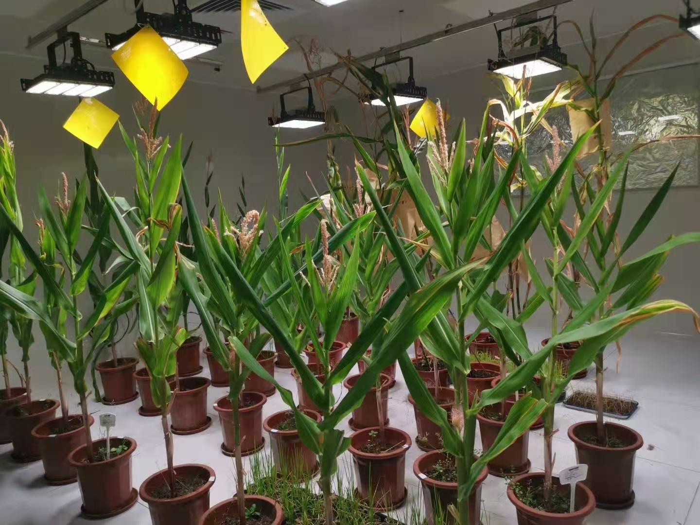 1688376899721703.jpg 1688376899721703.jpg