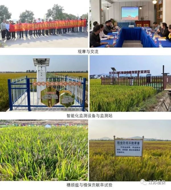 1702958104779973.jpg 5.jpg