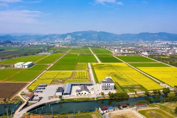 1711776369595400.jpg 宁波海曙古林.jpg