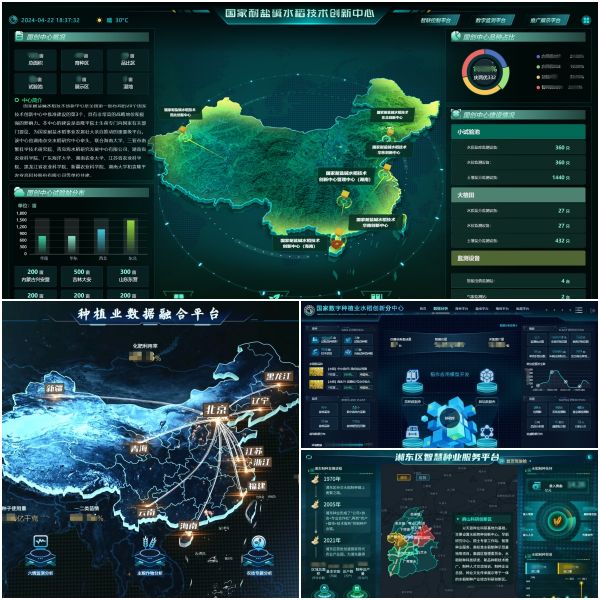 1715932062654697.jpg SEO (6).jpg