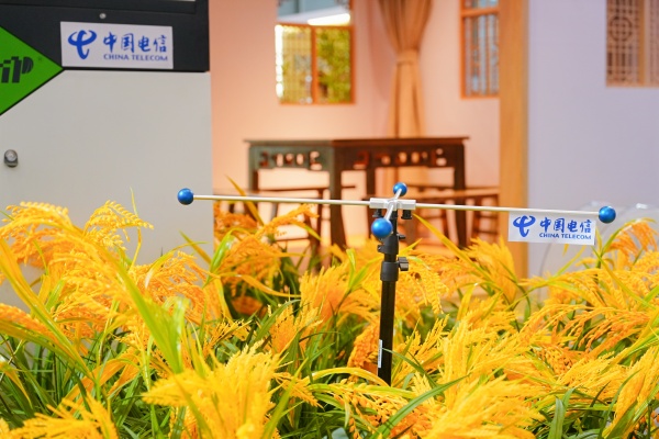 1727083301321541.jpg 图4_副本.jpg