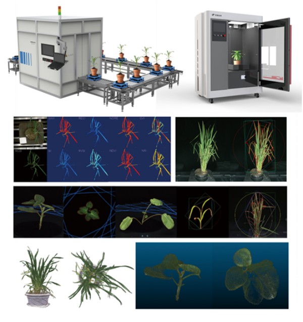 1732614627533372.jpg 高通量表型.jpg