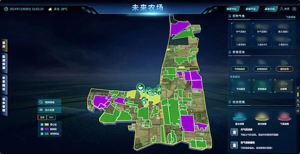 1733106264568748.jpg 10.jpg