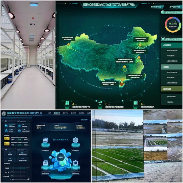 1736932258697886.jpg 4.jpg