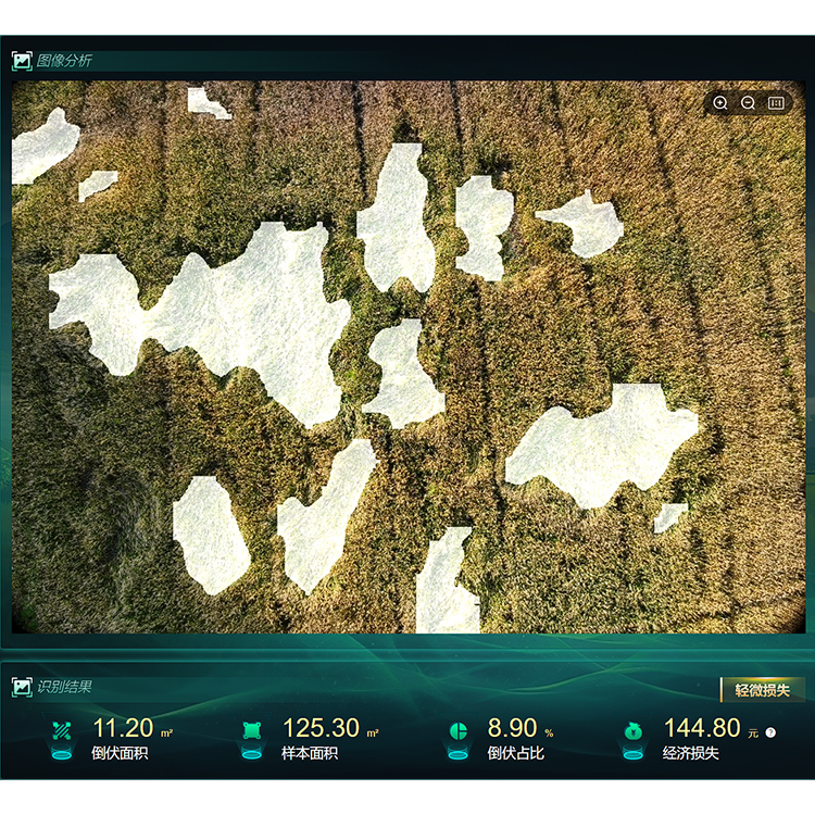 1742798535699126.png 【750】低空遥感植物表型分析系统1.png