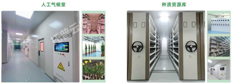 1743227808946351.png 图片26.png