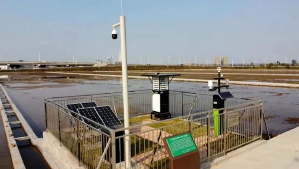 1744101879443267.jpg 10_副本.jpg