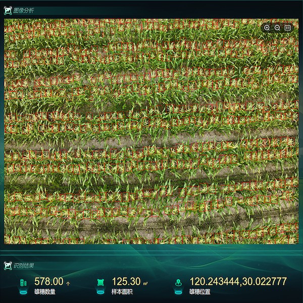 1744103639402988.jpg 4.jpg