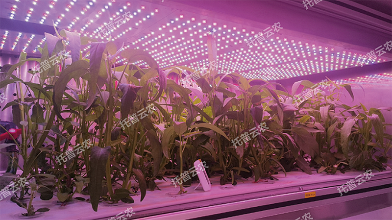 1745917658236970.png 图片5.png