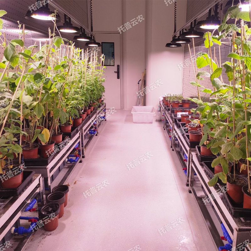 1745917767339643.png 图片11.png