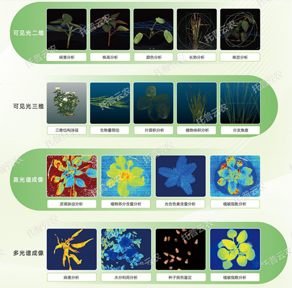 1747798547672380.png 图片3.png