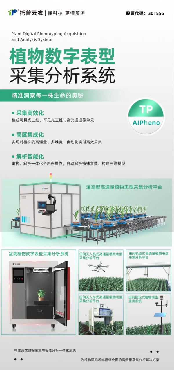 1749086280739219.png SEO图3.png