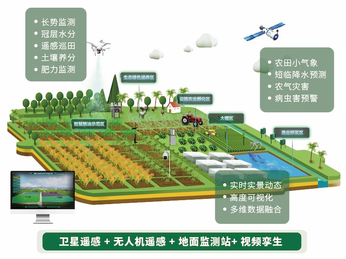 1749606727993134.jpg 3.jpg