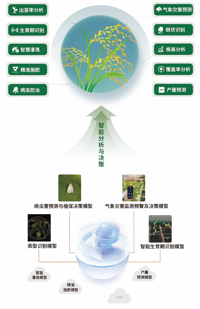 1749606833473317.jpg 4.jpg