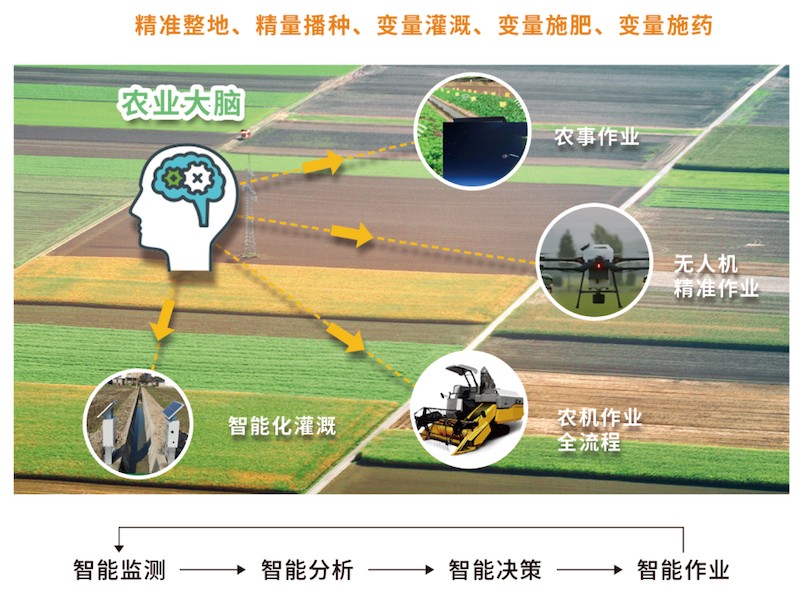 1749606886630484.jpg 8.jpg