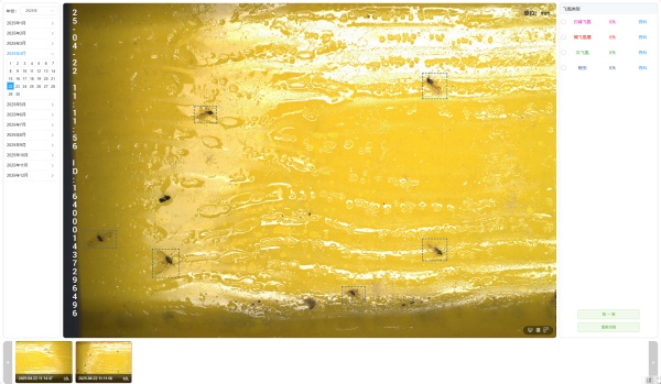 1754280209572758.jpg 2025.4.22 蚜虫9头_副本.jpg