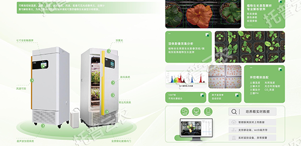 1755567149258551.png 图片5.png